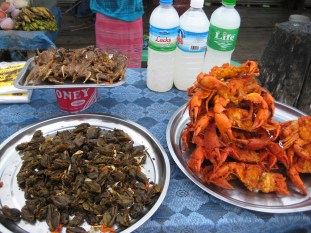 009_frogs crabs rats