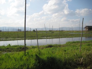 071_floating gardens