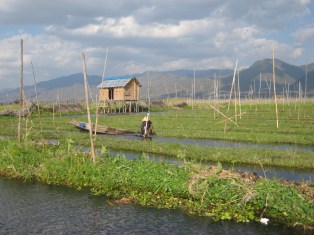 073_floating gardens