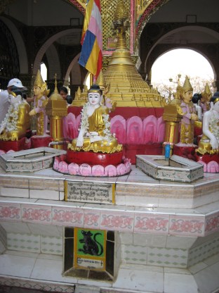 279_whose a rat Sutaungpyei Pagoda Mandalay Hill