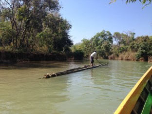 139l_bamboo transport