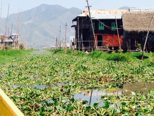 189h_floating villages & gardens