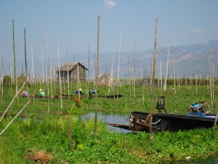 191_floating villages & gardens