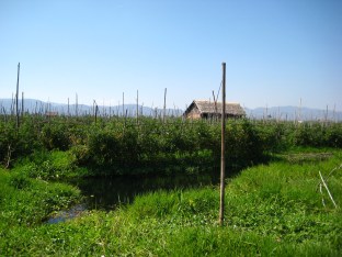 192_floating villages & gardens