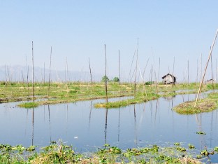 196c_floating villages & gardens