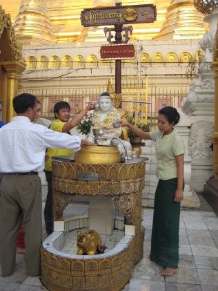 043_Thursday rat day