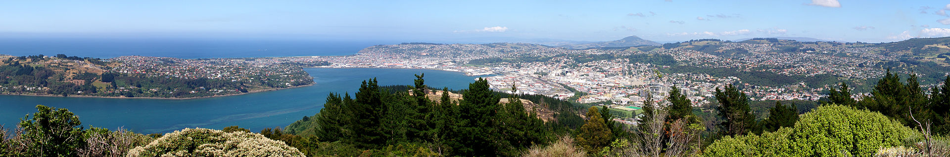 Dunedin panorama from Signal Hill